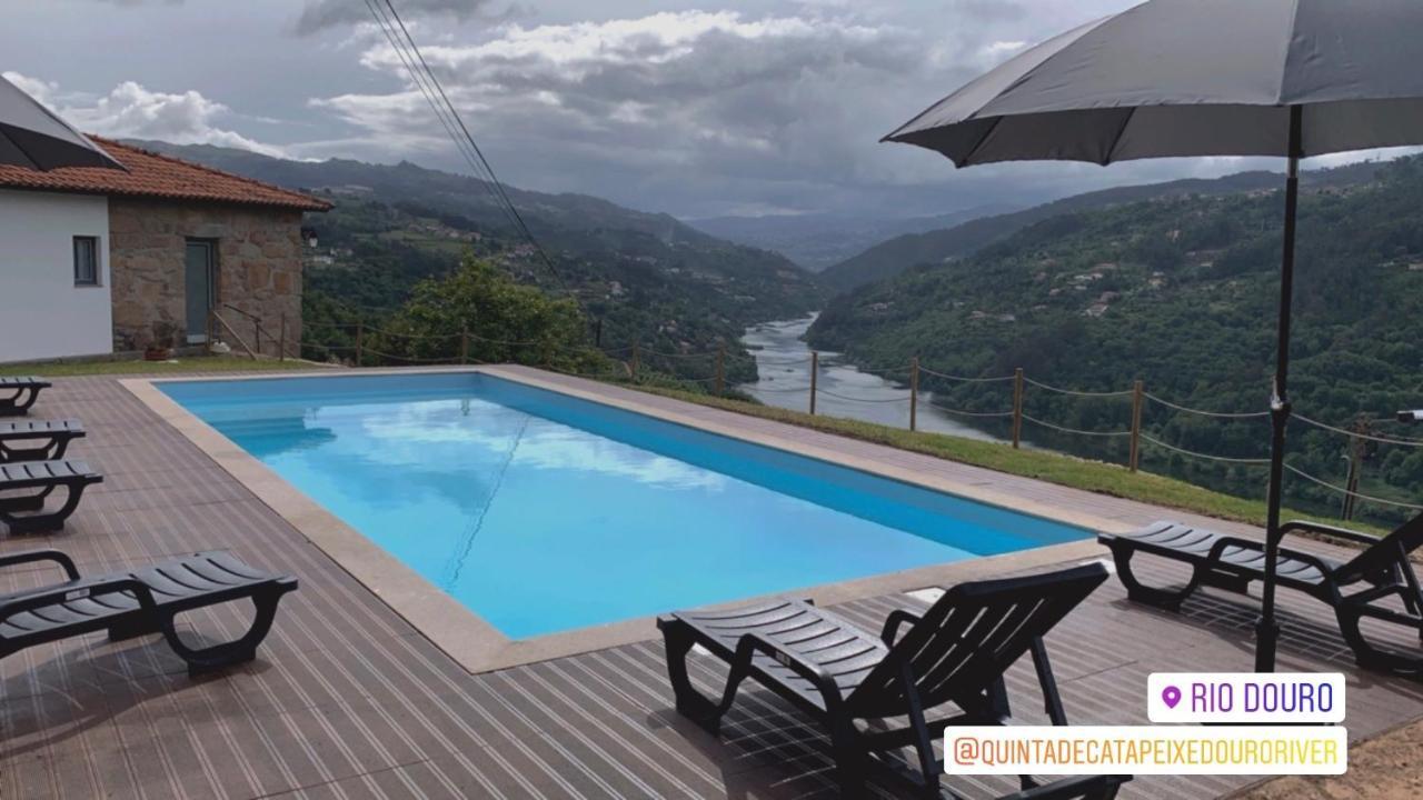 Quinta De Catapeixe Douro River Magrelos Bagian luar foto