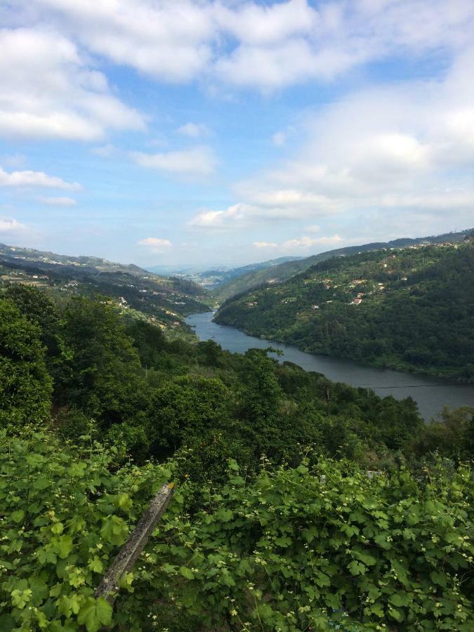 Quinta De Catapeixe Douro River Magrelos Bagian luar foto