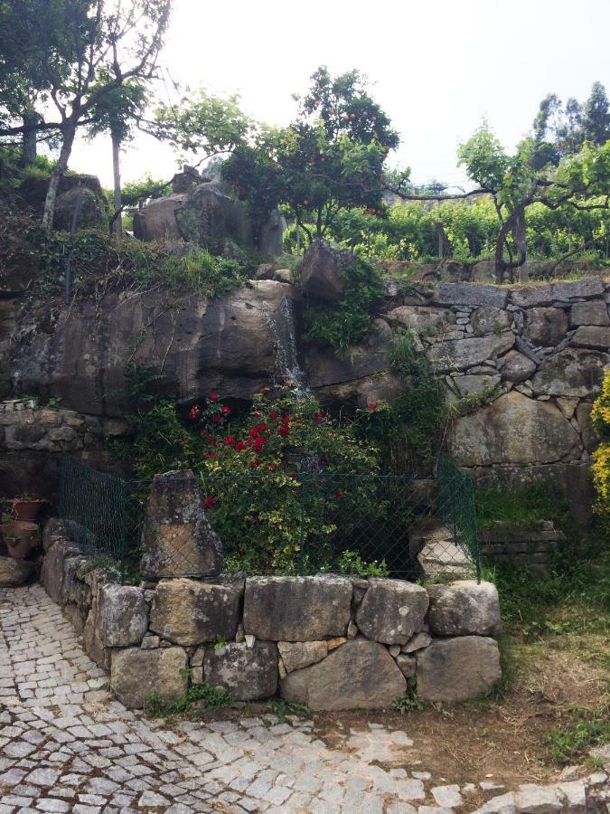 Quinta De Catapeixe Douro River Magrelos Bagian luar foto