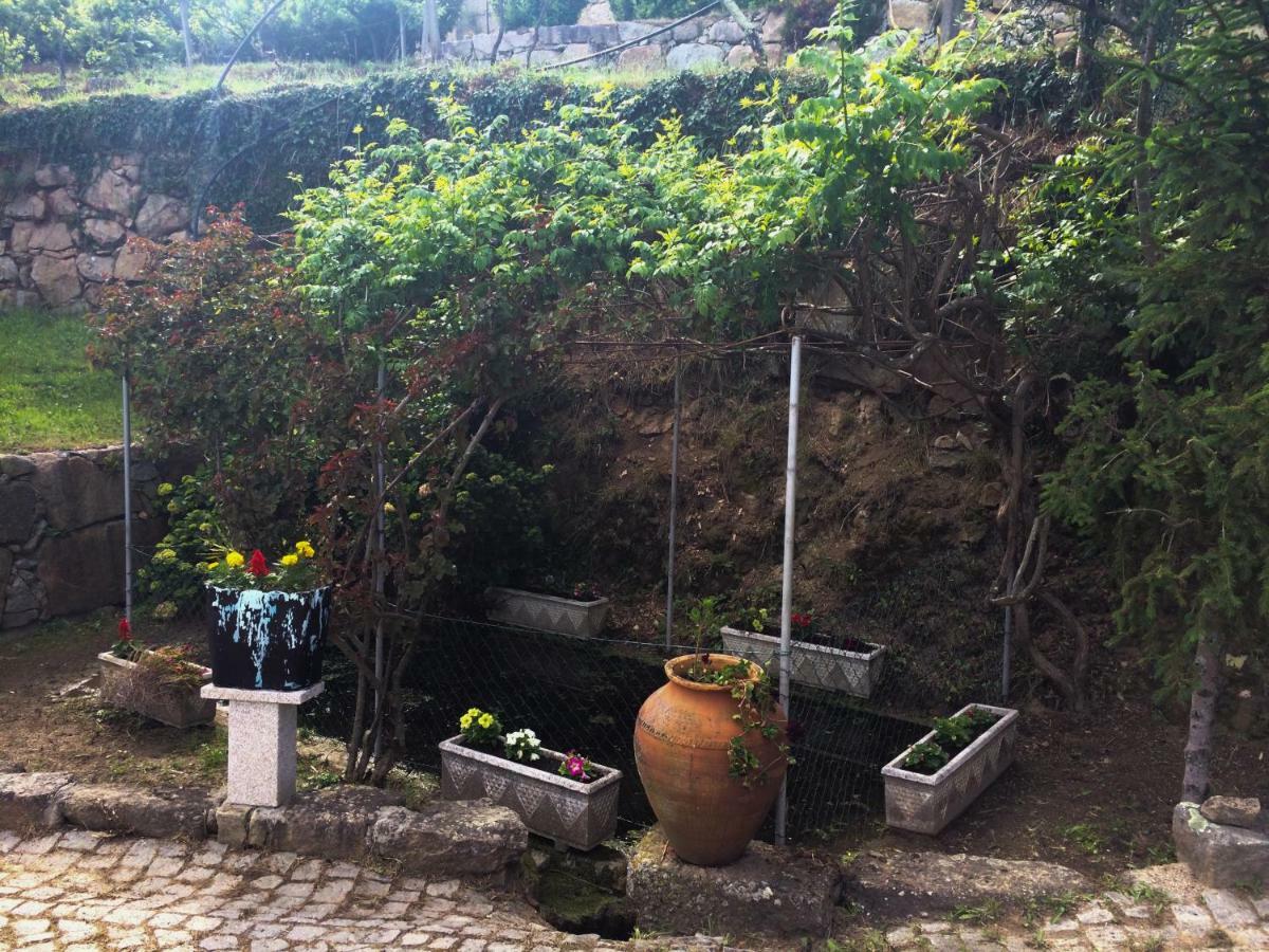 Quinta De Catapeixe Douro River Magrelos Bagian luar foto